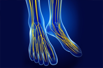 How Peroneal Neuropathy Affects the Feet